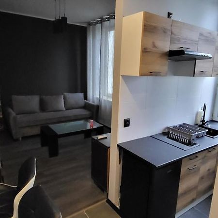 Ferienwohnung Apartament Pod Wieza Piotrków Trybunalski Exterior foto