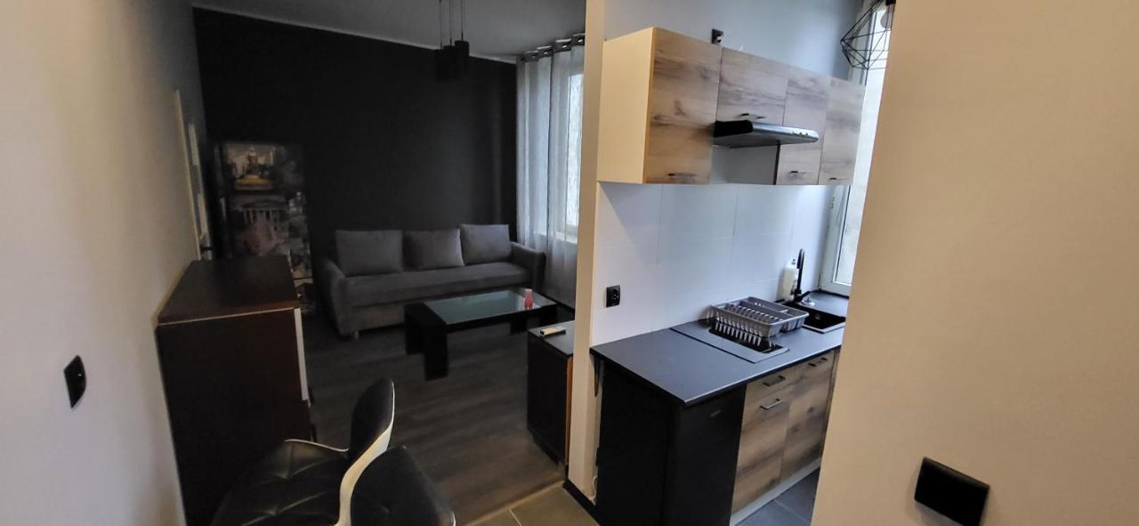 Ferienwohnung Apartament Pod Wieza Piotrków Trybunalski Exterior foto